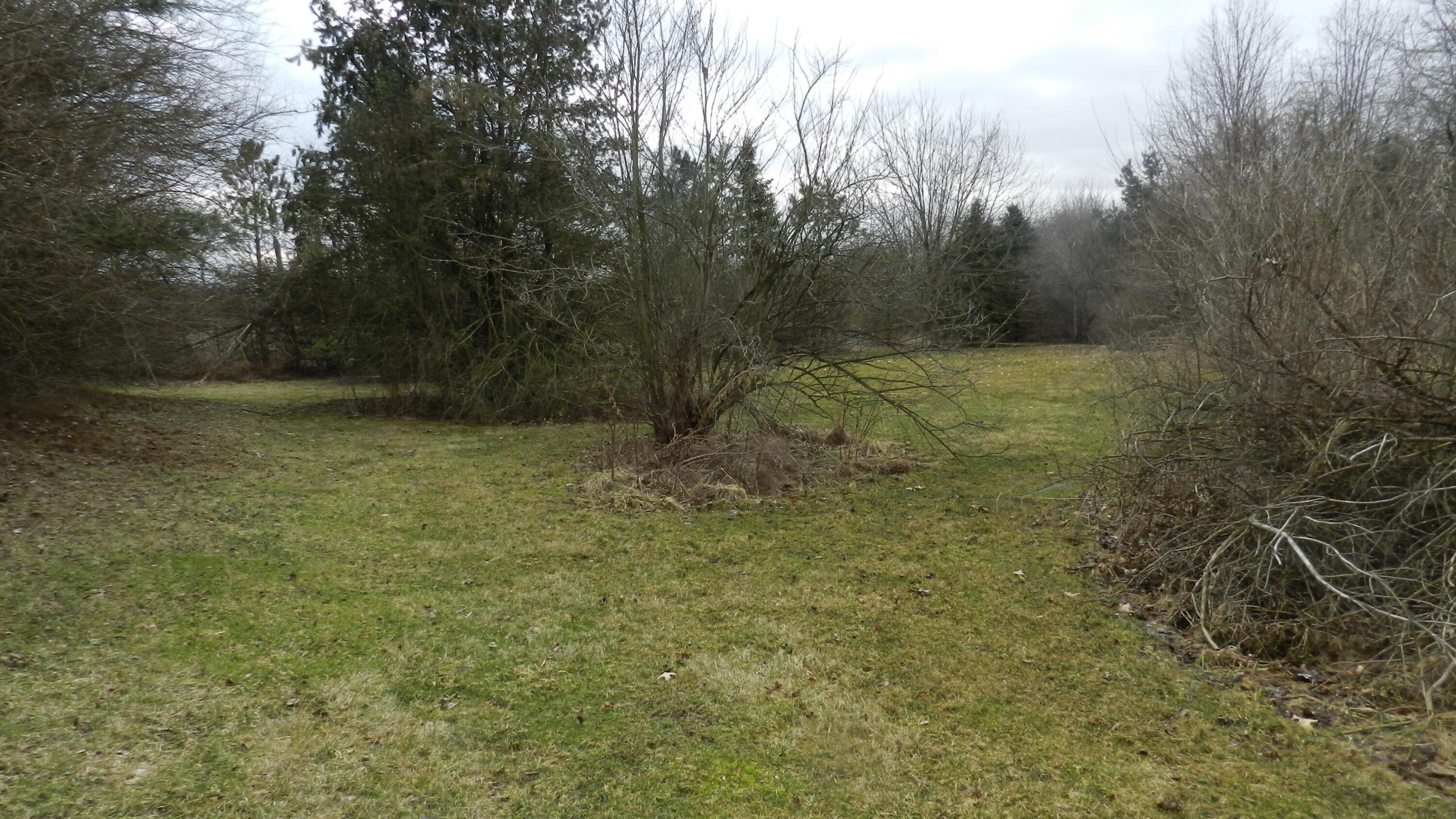 2595 Smeltzer Road Marion, OH 43302 - Photo 22 of 65 DSCN5162