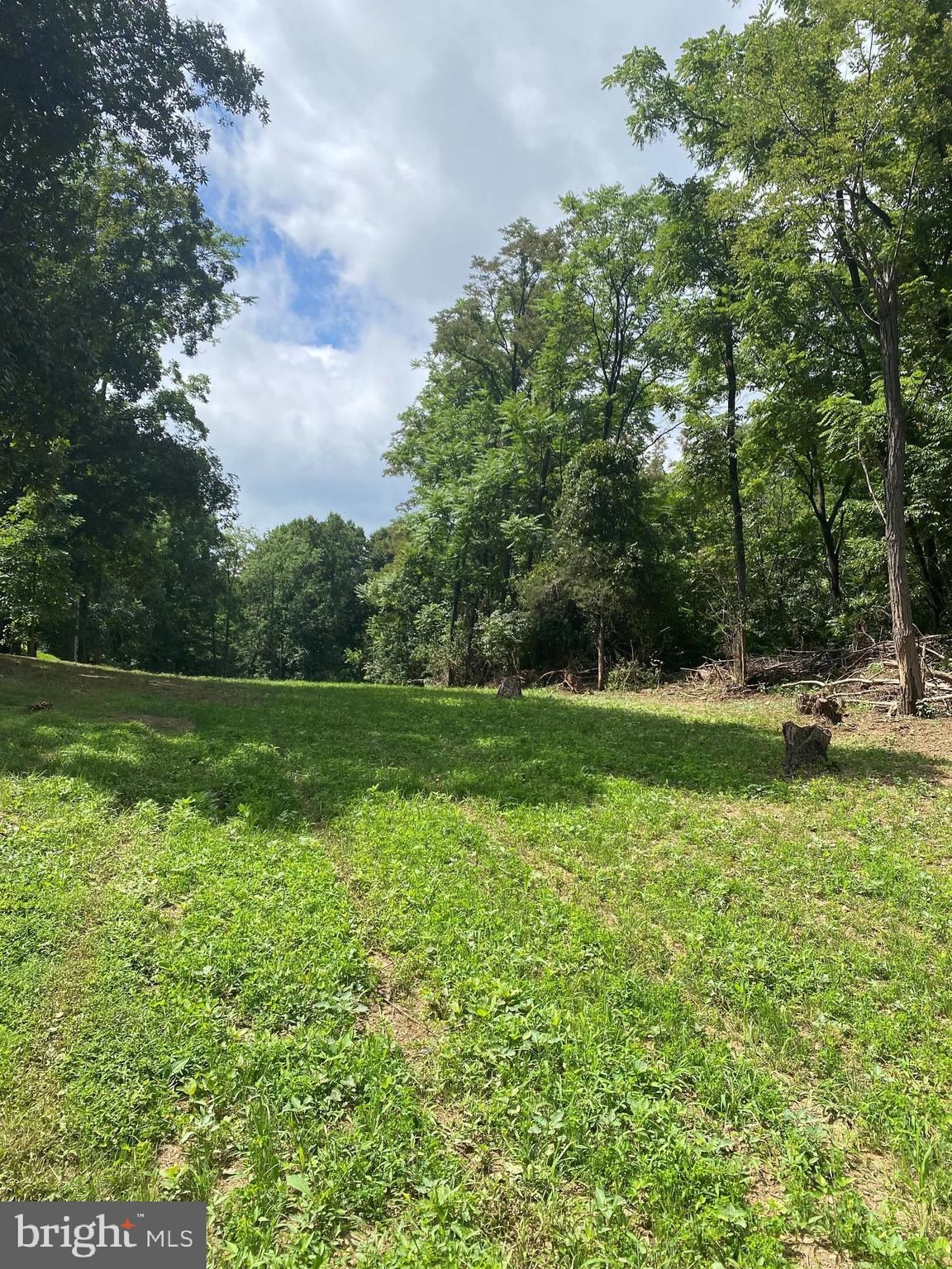 0 West Quarry Road Lebanon, PA 17046 - Photo 3 of 16 Entrance to lot clearing