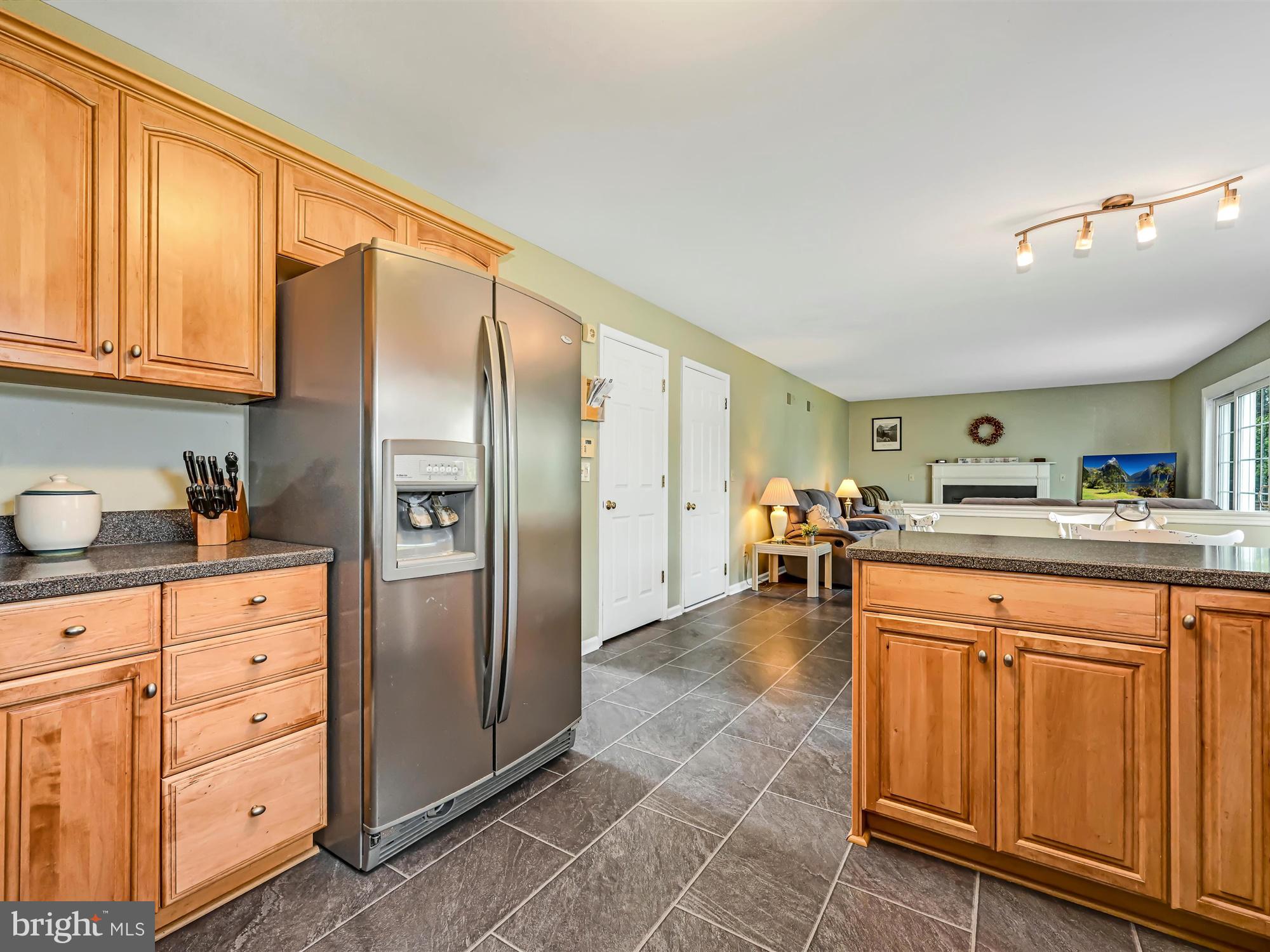 205 Village Spring Lane Reinholds, PA 17569 - Photo 12 of 29 a kitchen with granite countertop a refrigerator and cabinets