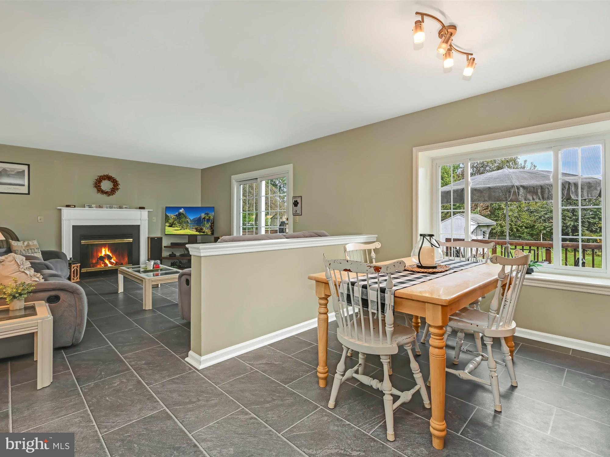 205 Village Spring Lane Reinholds, PA 17569 - Photo 13 of 29 a dining room with furniture and a fireplace