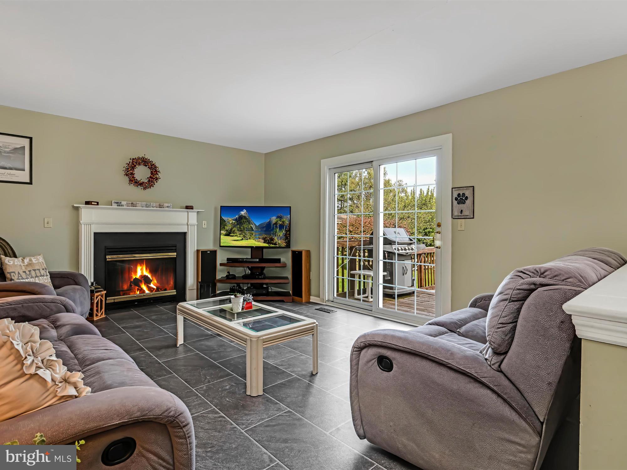 205 Village Spring Lane Reinholds, PA 17569 - Photo 15 of 29 a living room with furniture and a fireplace
