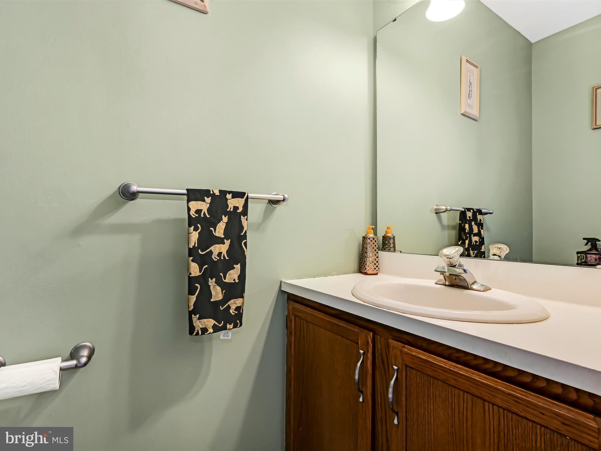 205 Village Spring Lane Reinholds, PA 17569 - Photo 17 of 29 a bathroom with a sink and a mirror