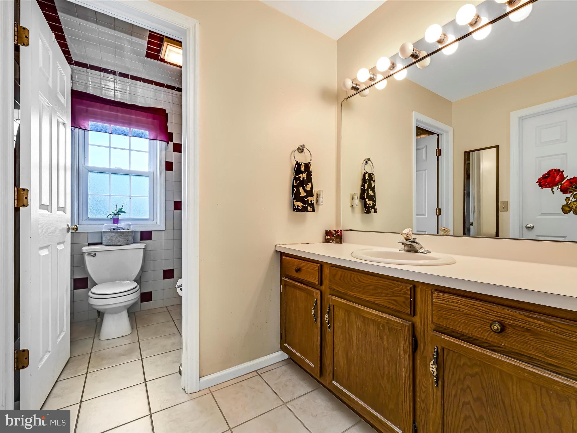 205 Village Spring Lane Reinholds, PA 17569 - Photo 21 of 29 a bathroom with a toilet a sink and a mirror
