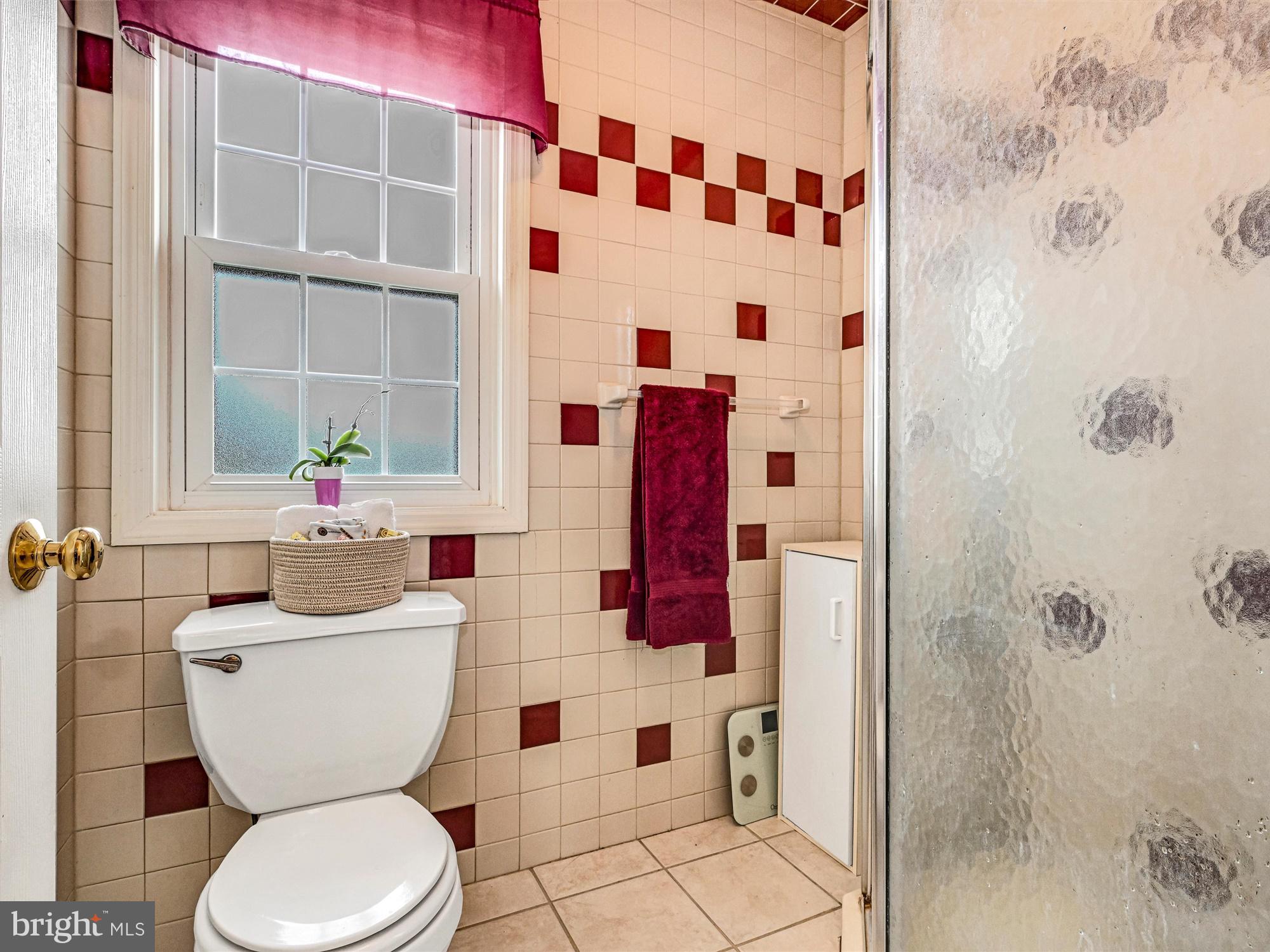 205 Village Spring Lane Reinholds, PA 17569 - Photo 22 of 29 a bathroom with a toilet and a shower curtain