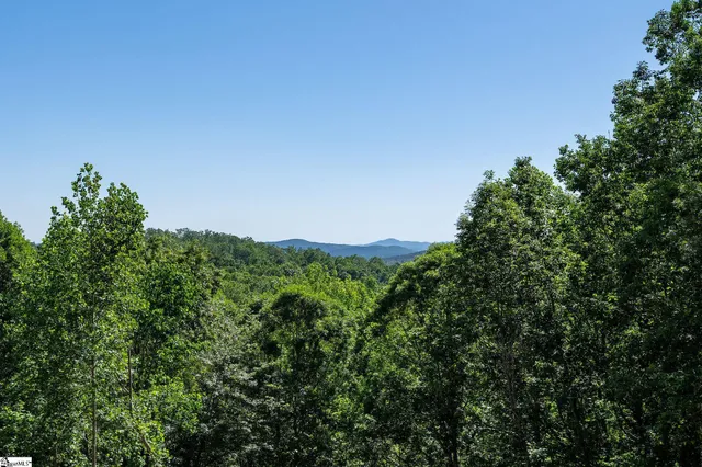 $3,590,000 | 189 Crowne Hill Way, Marietta, SC 29661