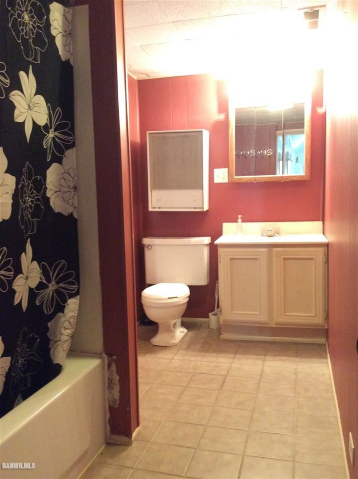 328 Franklin Street Galena, IL 61036 - Photo 7 of 13 a bathroom with a toilet a sink and mirror