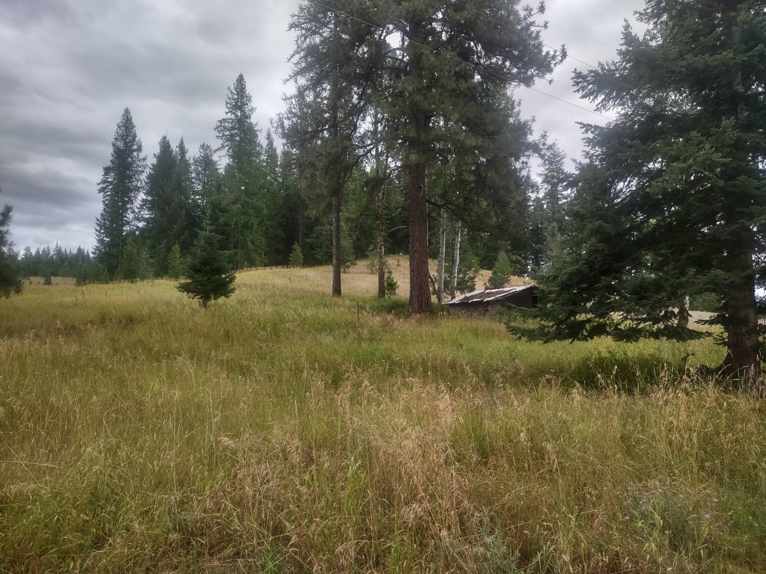 4439 Whittier Road Clayton, WA 99110 - Photo 44 of 49