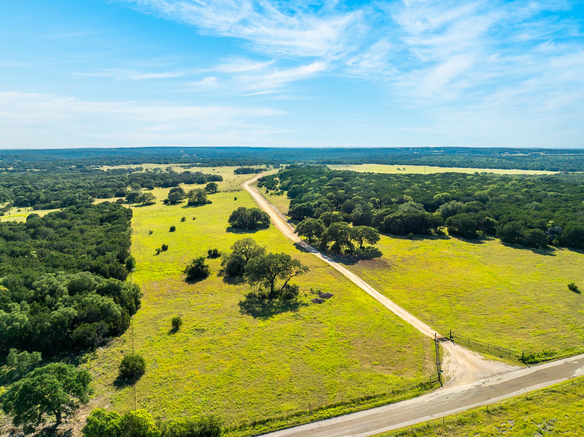 32 Feild Ranch Road Burnet, TX 78611 - Photo 3 of 40 Acres of verdant land await, featuring a private drive leading through a natural landscape.