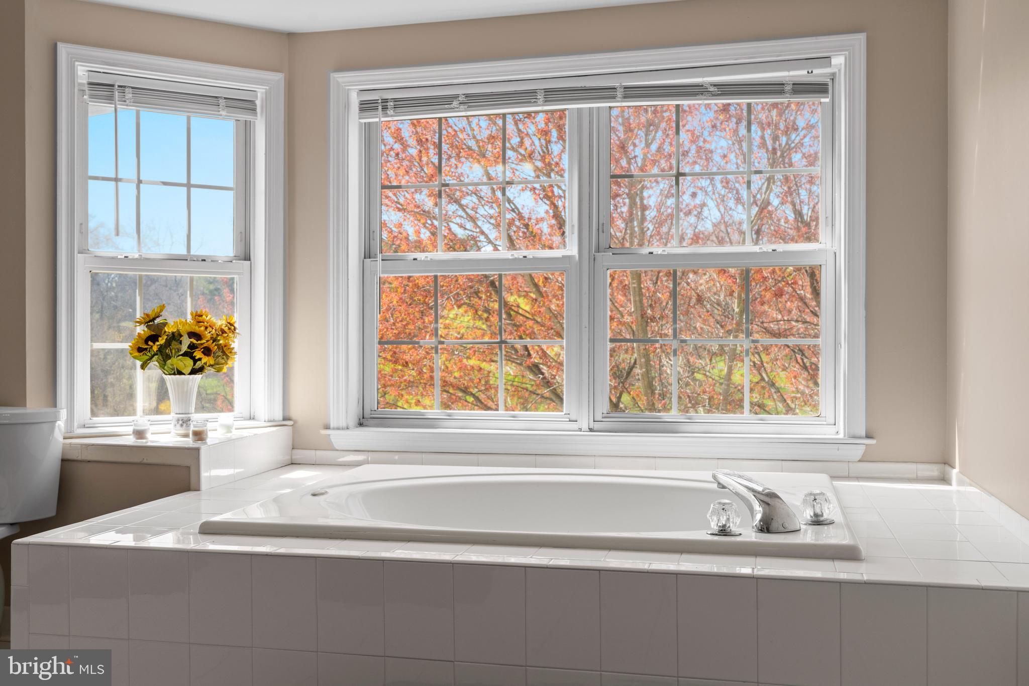 20 Farm Ridge Court Baldwin, MD 21013 - Photo 21 of 47 a bathroom with a tub a sink and a window