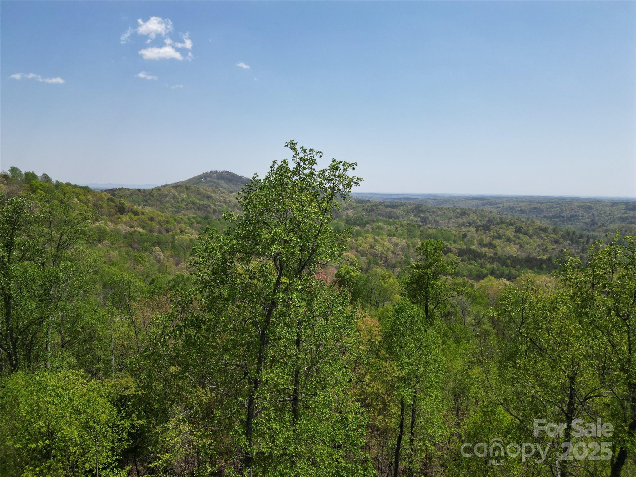Lot 25 High Rock Ridge Lake Lure, NC 28746 - Photo 1 of 21 a view of a big yard