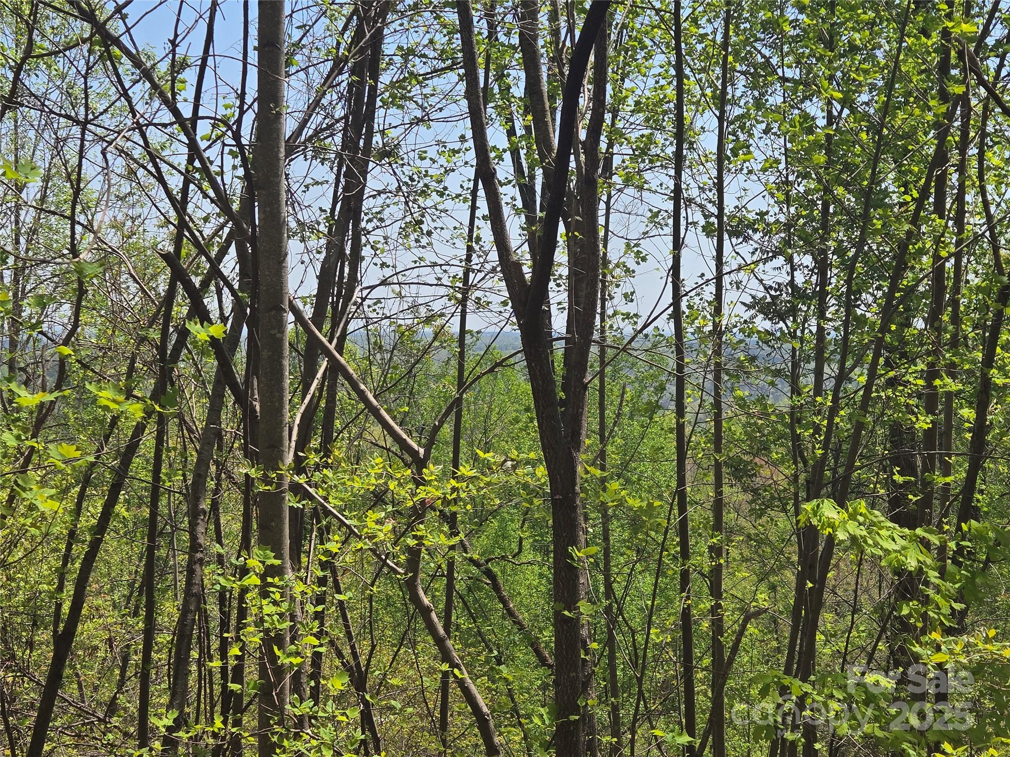 Lot 25 High Rock Ridge Lake Lure, NC 28746 - Photo 11 of 21