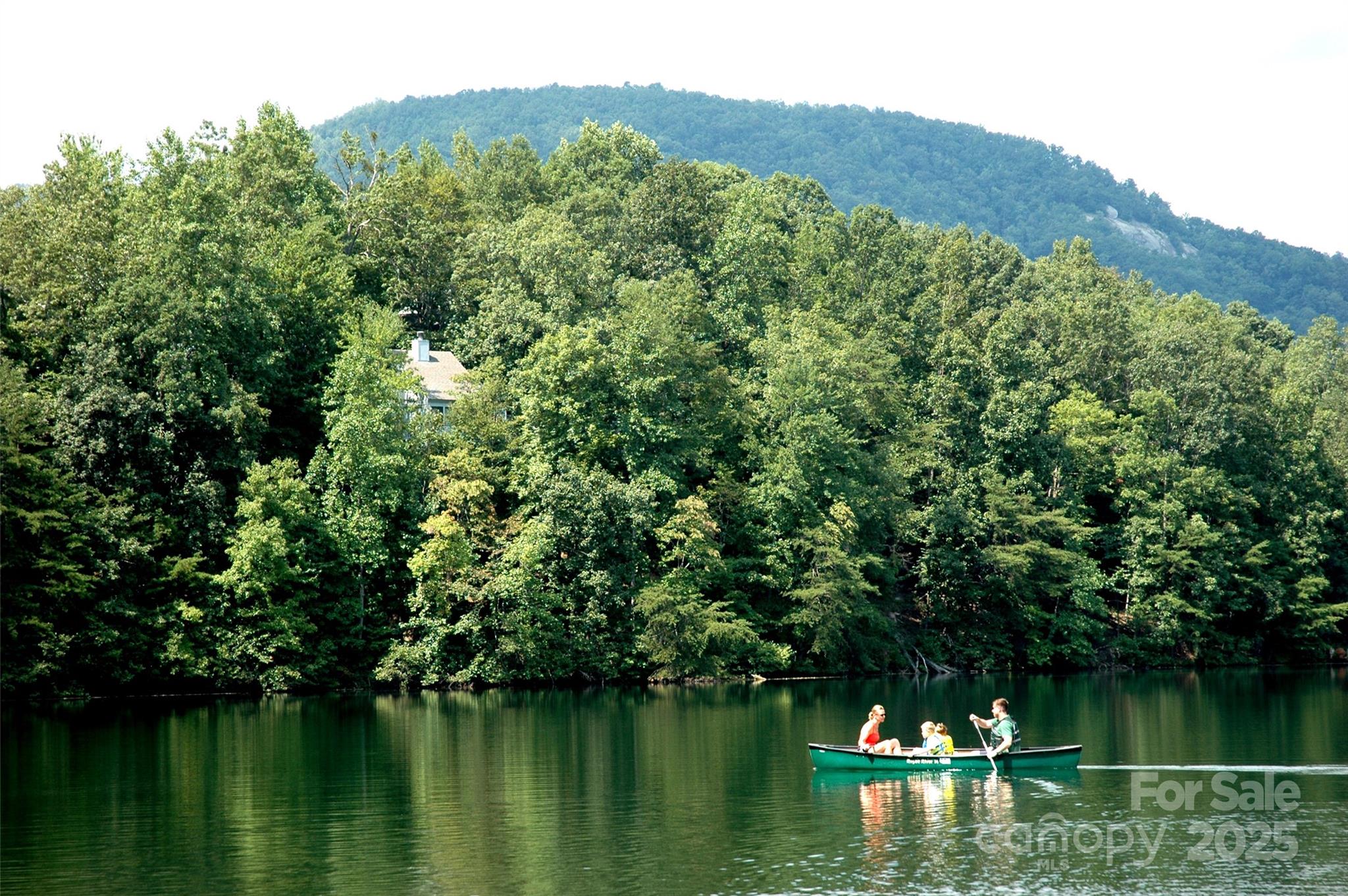 Lot 25 High Rock Ridge Lake Lure, NC 28746 - Photo 14 of 21 a view of a lake with a mountain in the background