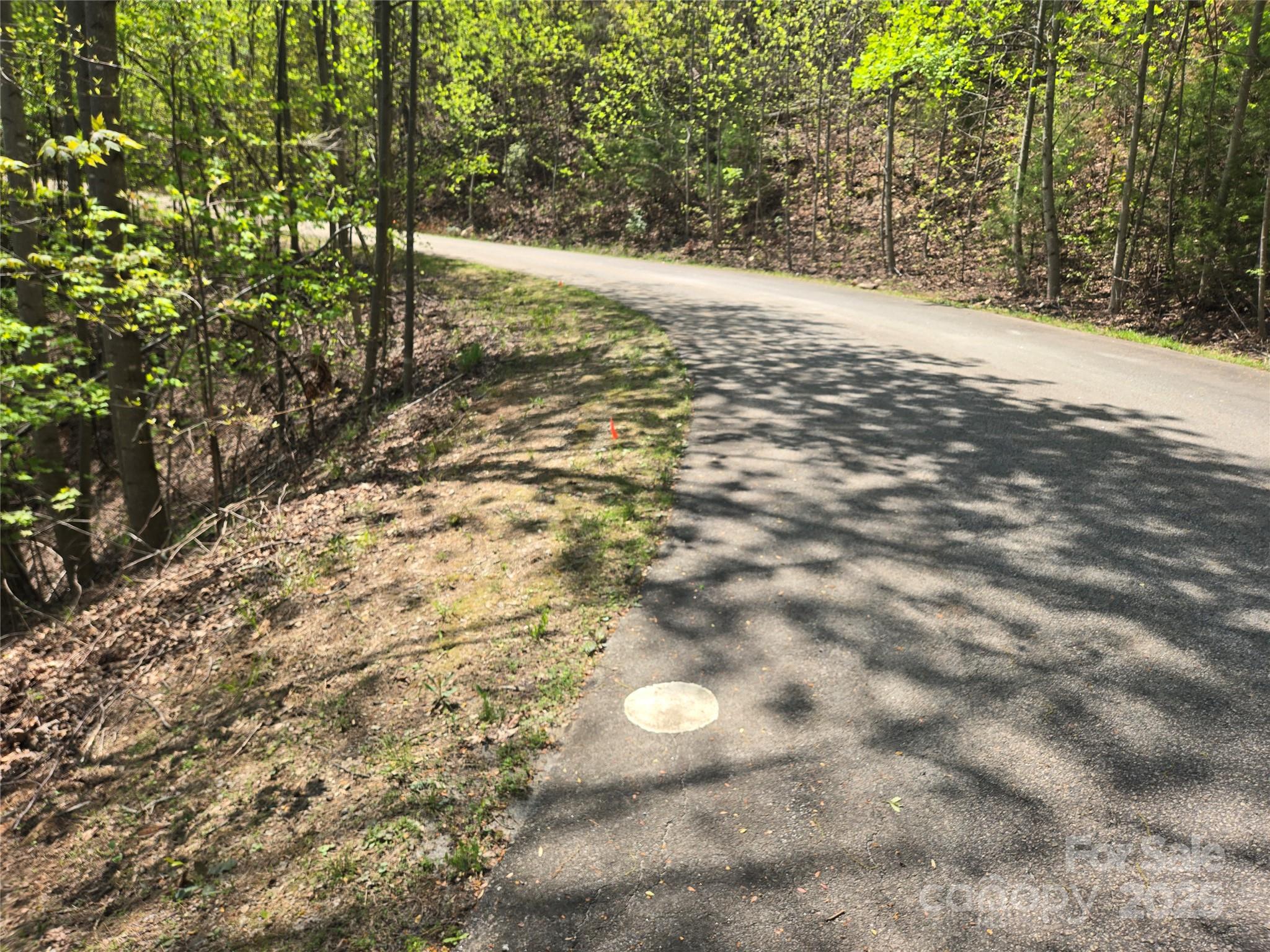 Lot 25 High Rock Ridge Lake Lure, NC 28746 - Photo 3 of 21 a view of yard