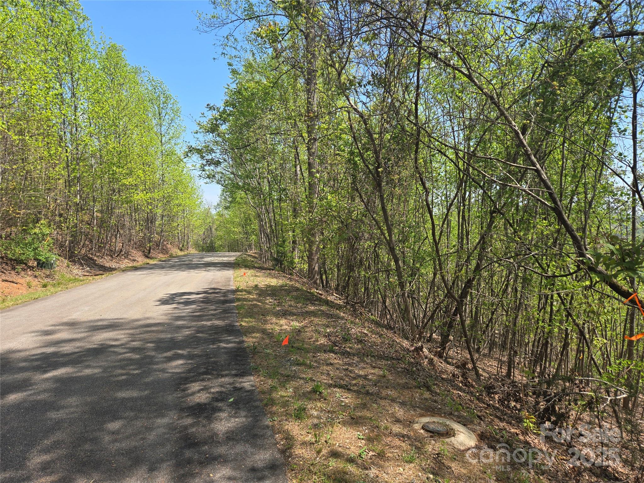 Lot 25 High Rock Ridge Lake Lure, NC 28746 - Photo 4 of 21 a view of a yard with plants and trees