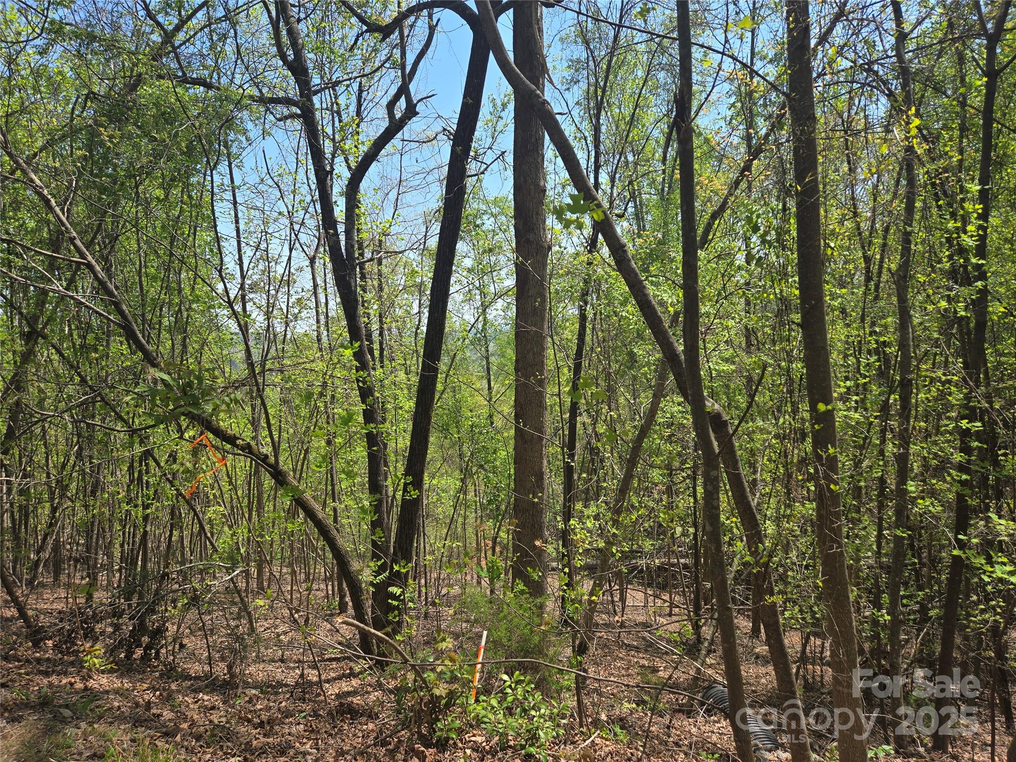 Lot 25 High Rock Ridge Lake Lure, NC 28746 - Photo 5 of 21