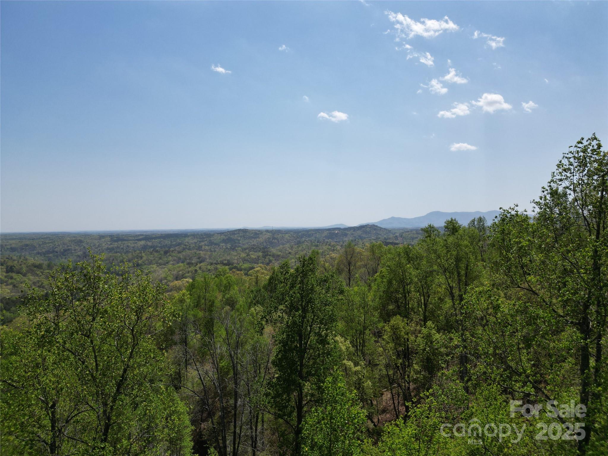 Lot 25 High Rock Ridge Lake Lure, NC 28746 - Photo 8 of 21 a view of a green field