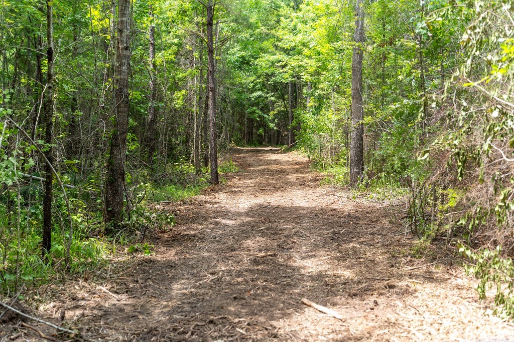 3 Comers Pond Road Pittsview, AL 36871 - Photo 16 of 51