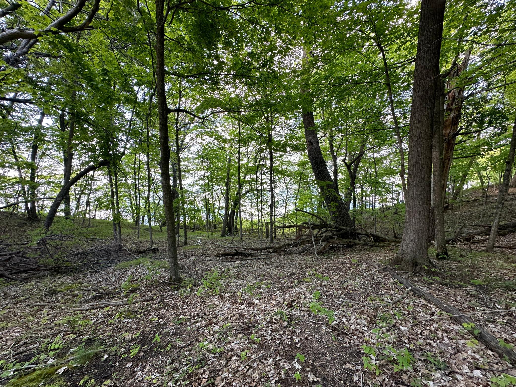 44698 Idas Road Osage, MN 56570 - Photo 11 of 16