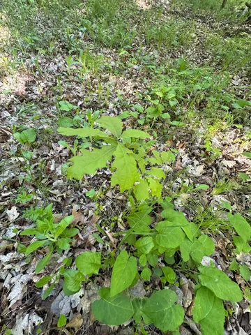 $205,000 | 44698 Idas Road, Osage, MN 56570