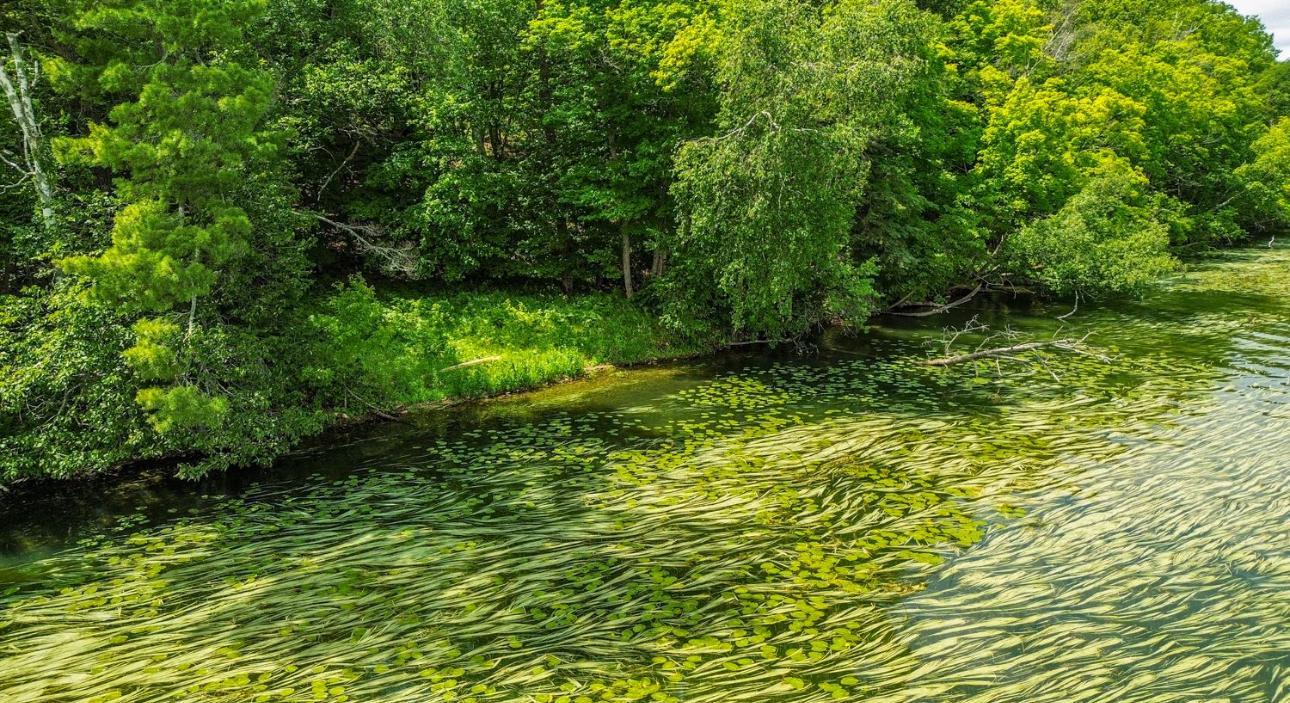 44698 Idas Road Osage, MN 56570 - Photo 13 of 16