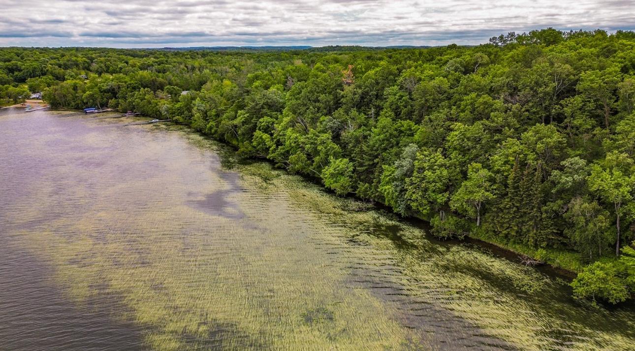 44698 Idas Road Osage, MN 56570 - Photo 14 of 16