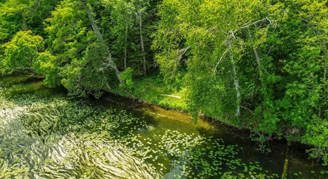 $205,000 | 44698 Idas Road, Osage, MN 56570