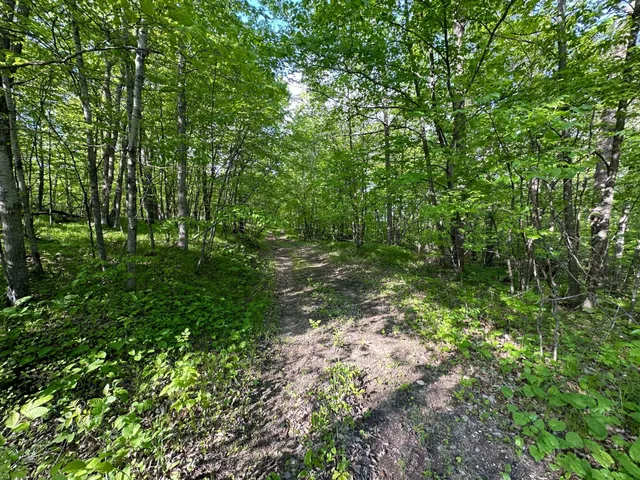 $205,000 | 44698 Idas Road, Osage, MN 56570