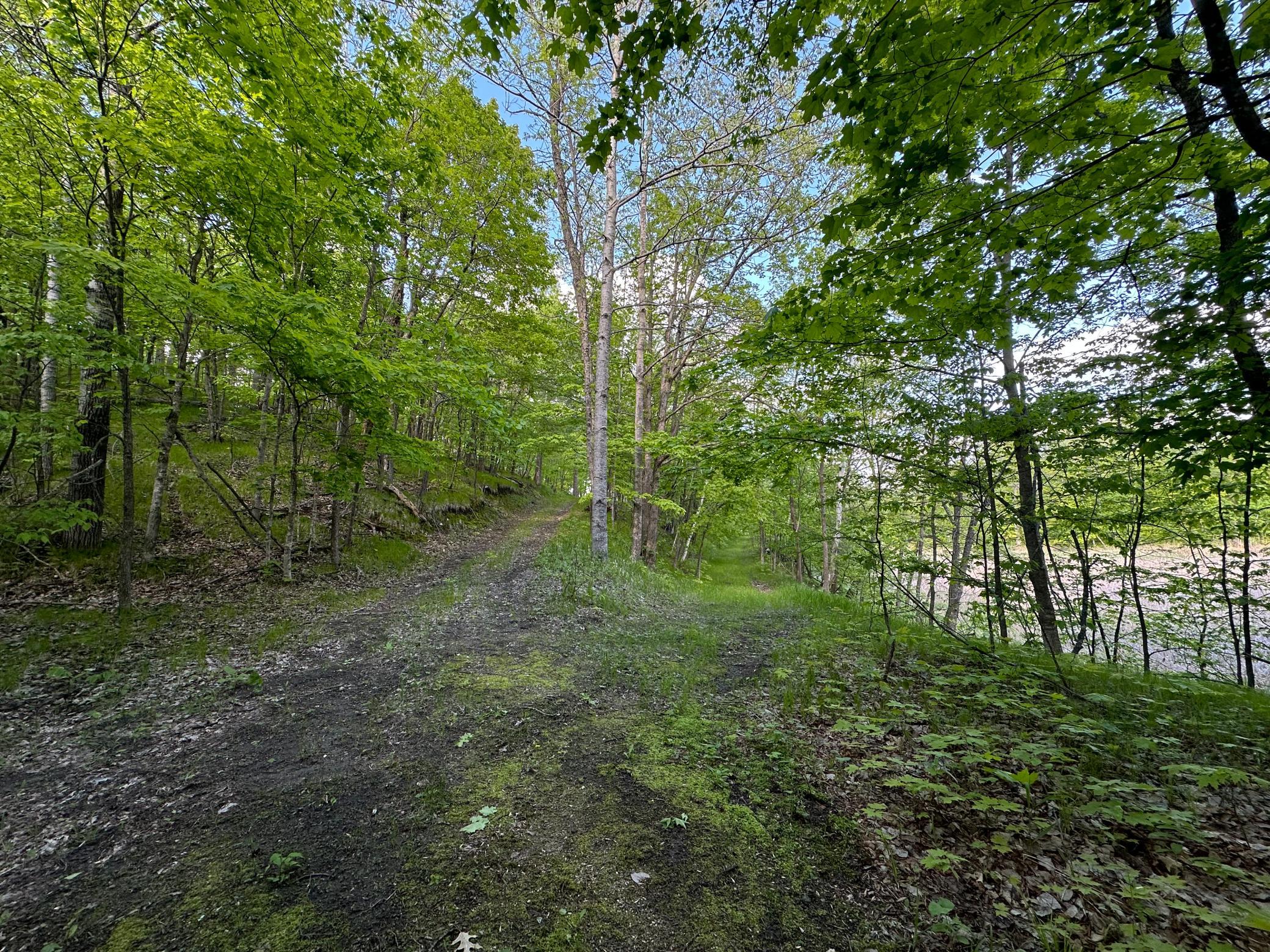 44698 Idas Road Osage, MN 56570 - Photo 6 of 16