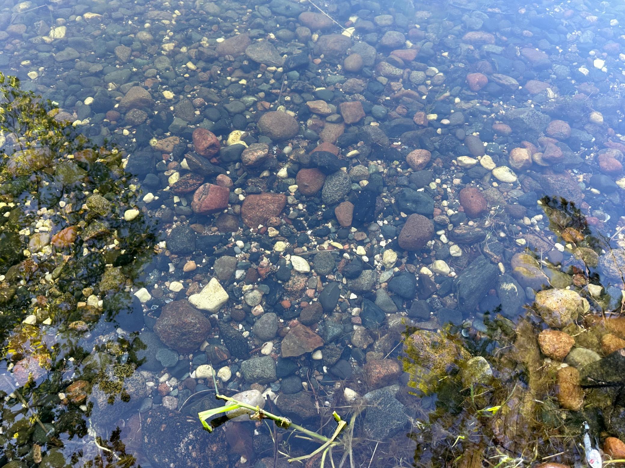 44698 Idas Road Osage, MN 56570 - Photo 7 of 16