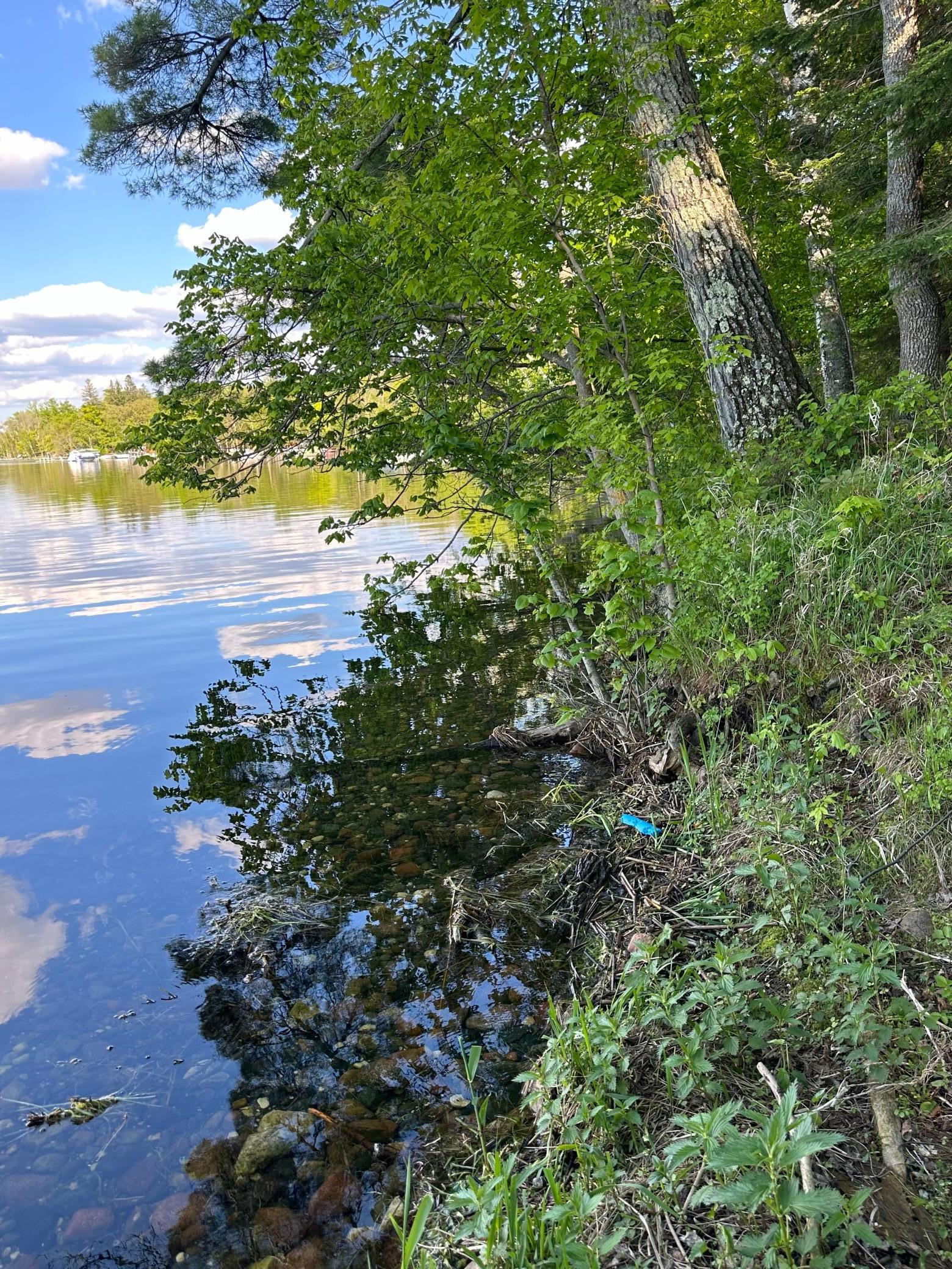 44698 Idas Road Osage, MN 56570 - Photo 8 of 16