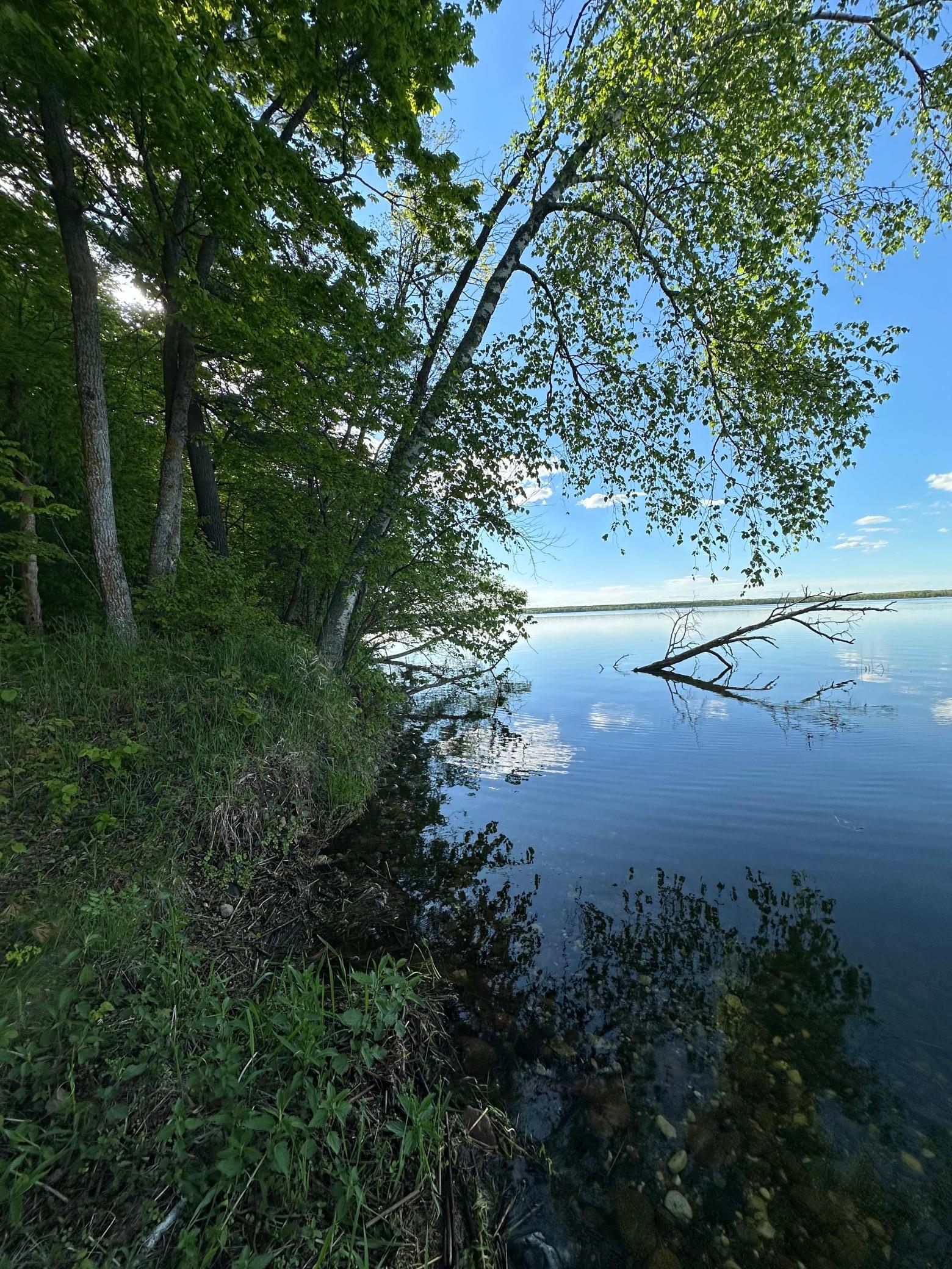 44698 Idas Road Osage, MN 56570 - Photo 9 of 16