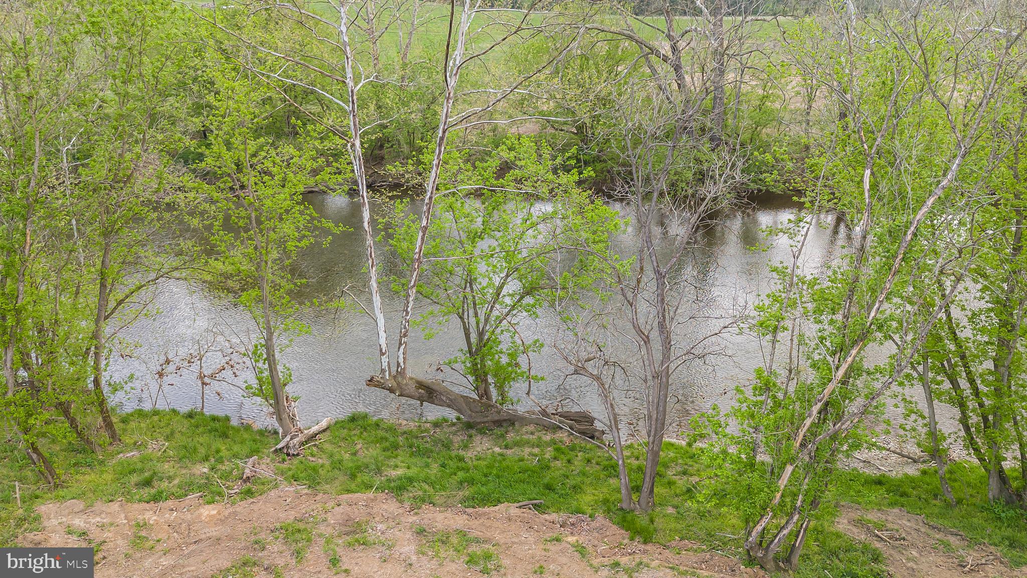 628 Black Bear Road Maurertown, VA 22644 - Photo 63 of 67 a backyard of a house with large trees