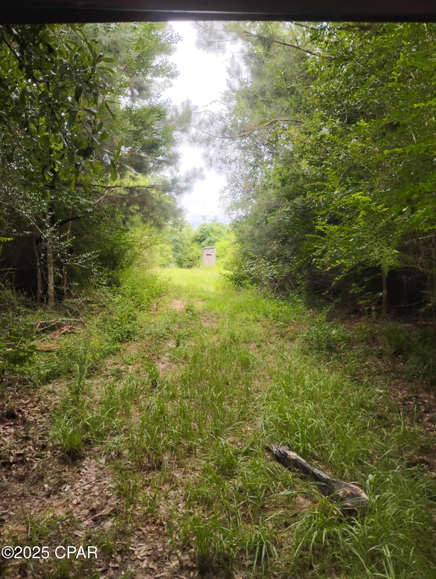 0 Hwy 77 Chipley Chipley, FL 32428 - Photo 16 of 23