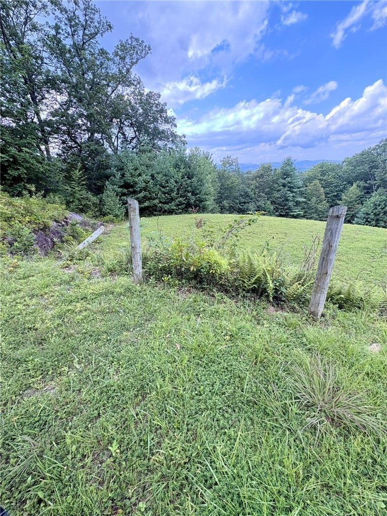 718 Green Mountain Road Sparta, NC 28675 - Photo 22 of 30