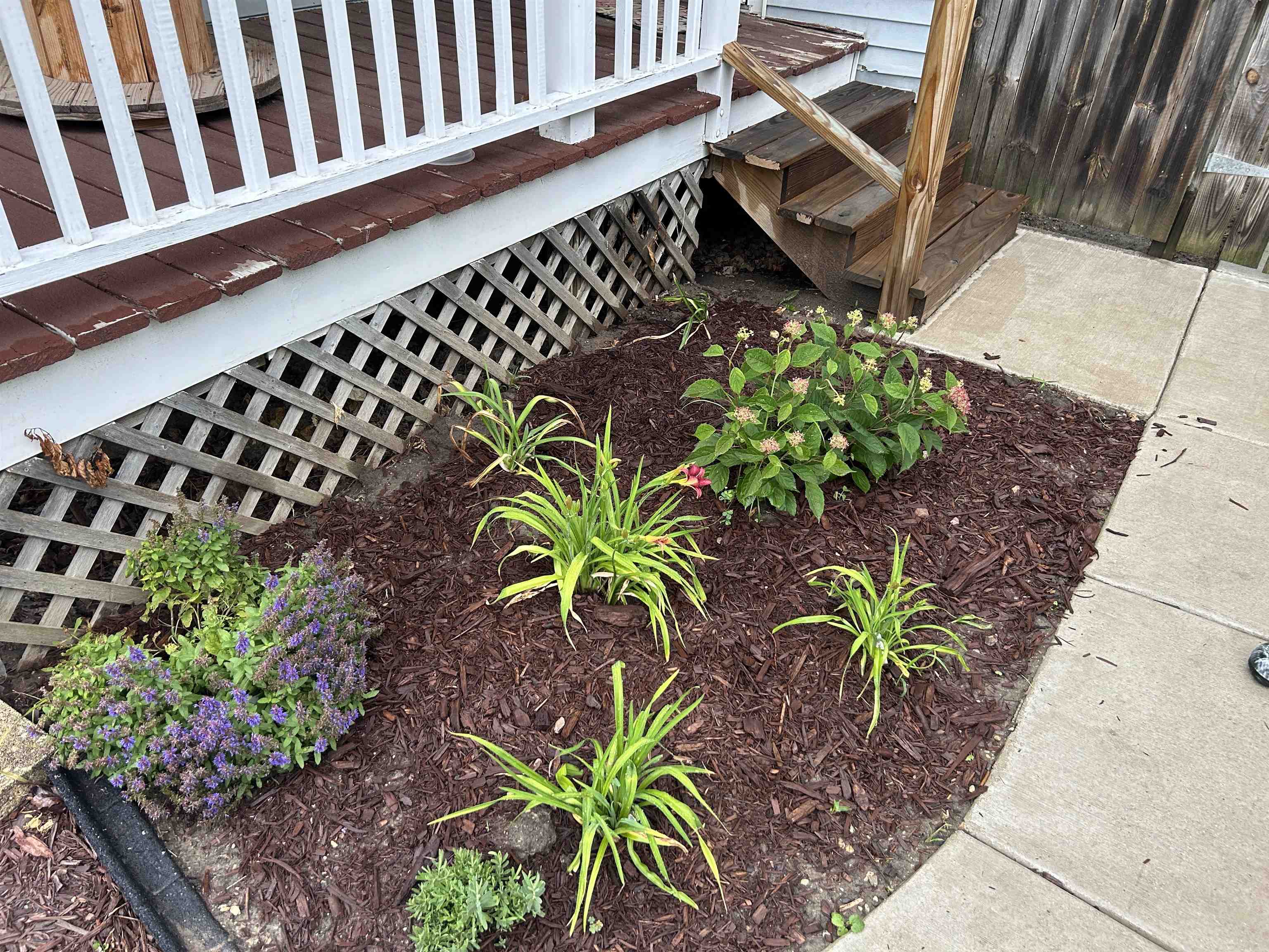 204 Linden Street Fort Atkinson, WI 53538 - Photo 26 of 33