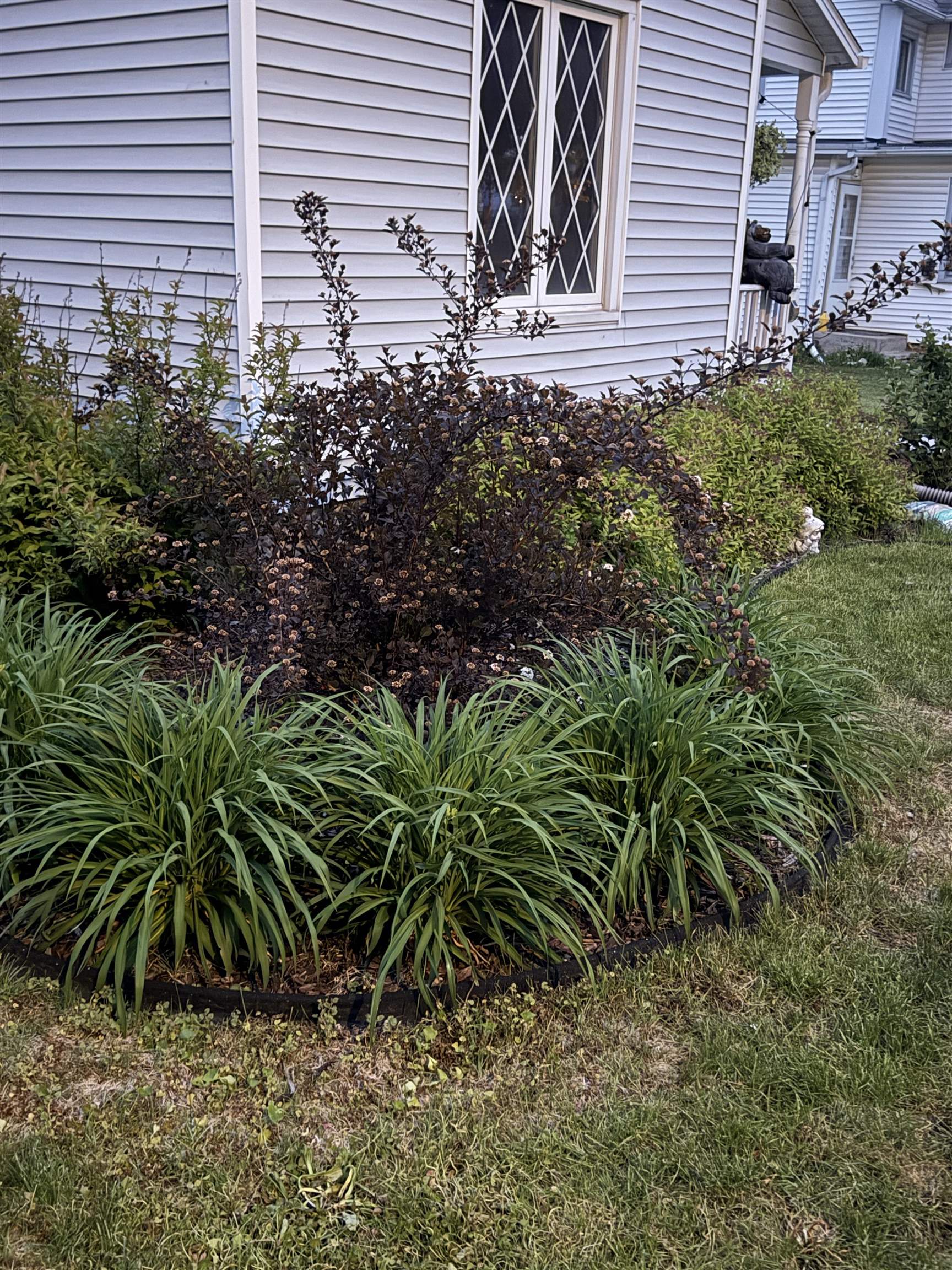 204 Linden Street Fort Atkinson, WI 53538 - Photo 28 of 33