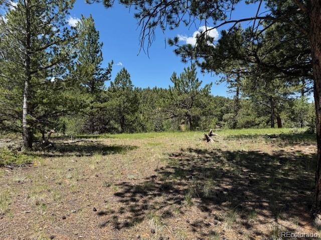209 Kenosha Circle Divide, CO 80814 - Photo 2 of 17 a view of a yard with a tree