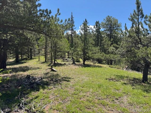 209 Kenosha Circle Divide, CO 80814 - Photo 4 of 17 a view of outdoor space with trees all around
