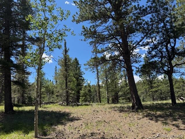 209 Kenosha Circle Divide, CO 80814 - Photo 5 of 17 a view of a forest filled with trees