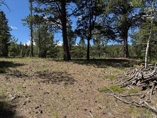 209 Kenosha Circle Divide, CO 80814 - Photo 8 of 17 a view of backyard with green space