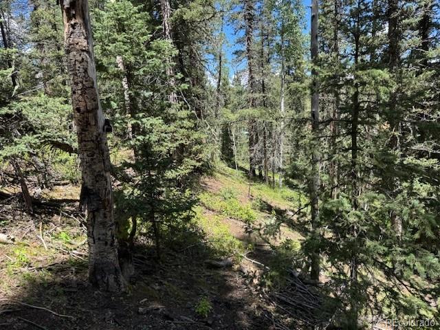 209 Kenosha Circle Divide, CO 80814 - Photo 9 of 17 a view of a trees