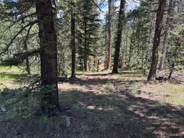 209 Kenosha Circle Divide, CO 80814 - Photo 10 of 17