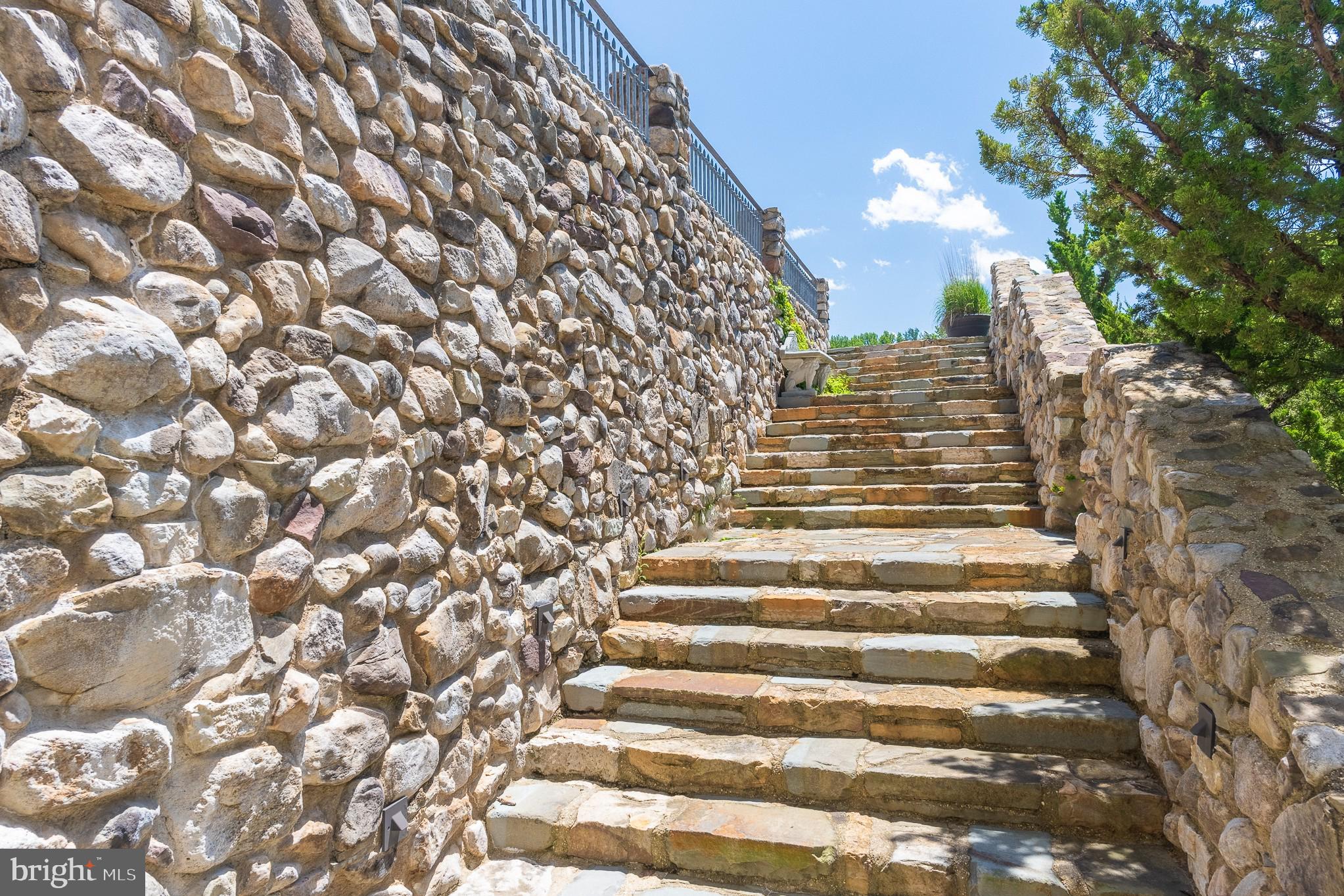 13320 Signal Tree Lane Potomac, MD 20854 - Photo 109 of 143 Dozen different rock & stone species replicate age