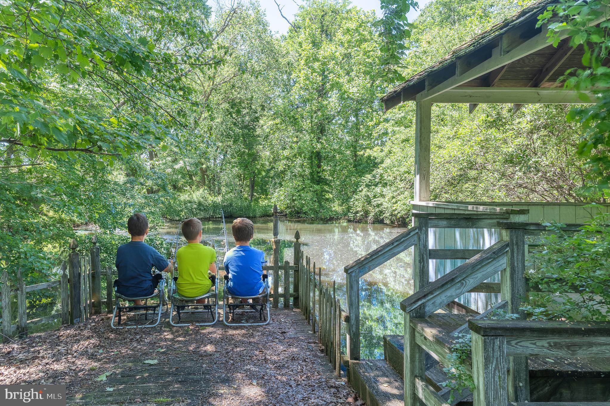 13320 Signal Tree Lane Potomac, MD 20854 - Photo 126 of 143 Kids or you will enjoy fishing in pond