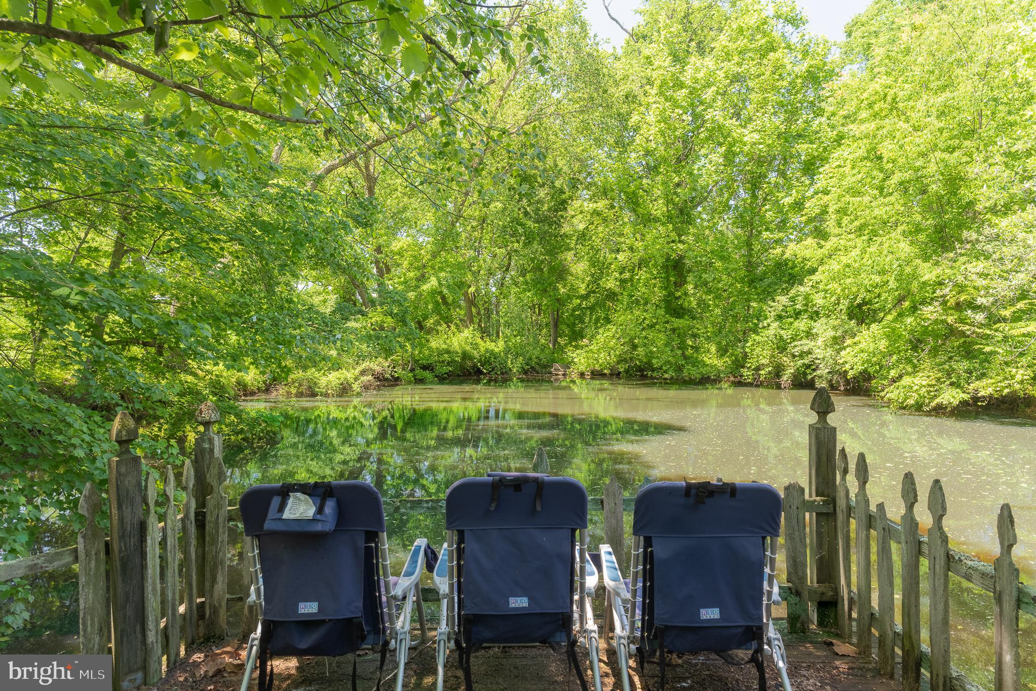 13320 Signal Tree Lane Potomac, MD 20854 - Photo 128 of 143 Pond reflective of a Monet painting