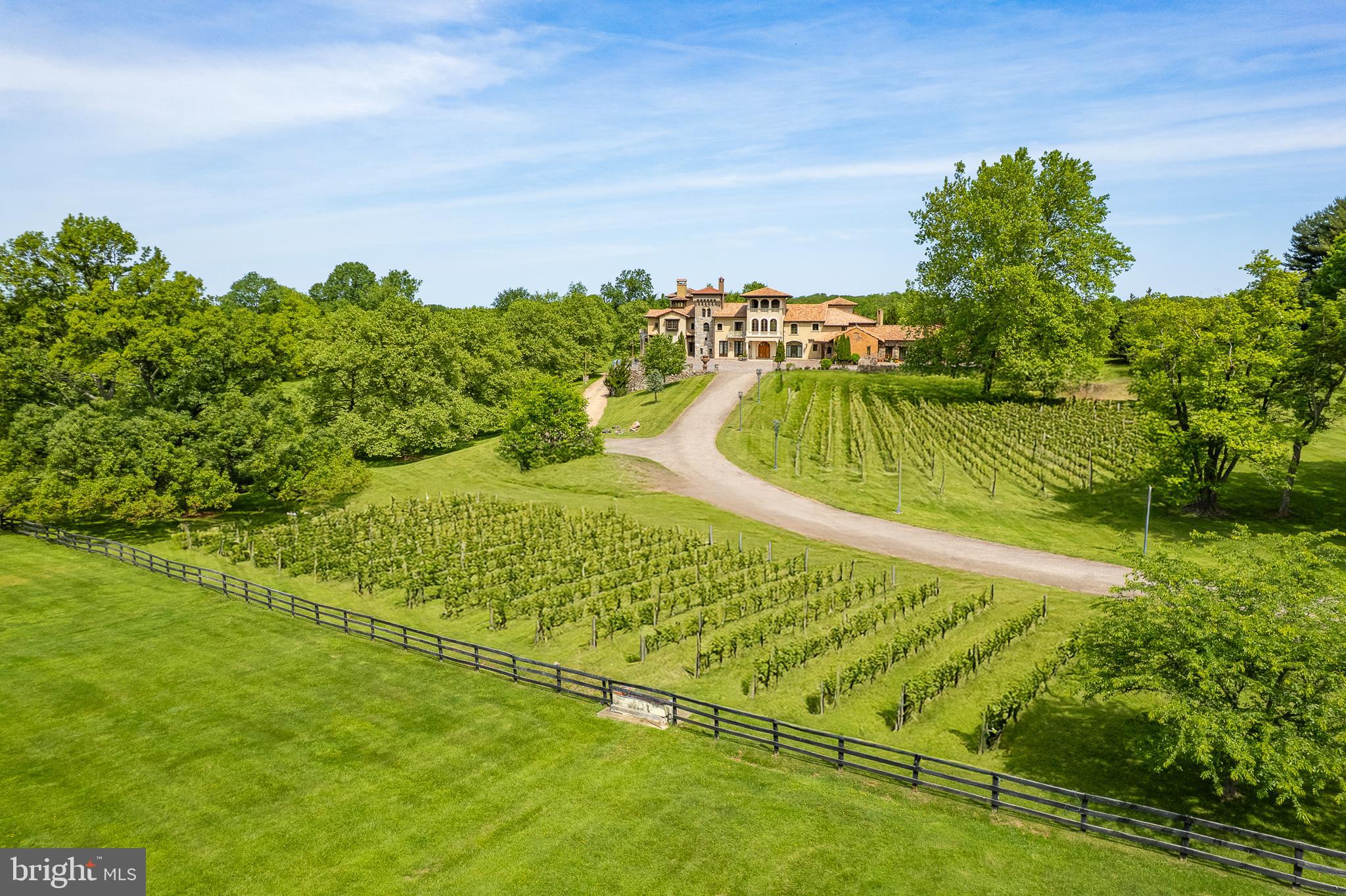 13320 Signal Tree Lane Potomac, MD 20854 - Photo 135 of 143 Imagine your own Italian vineyard in Potomac