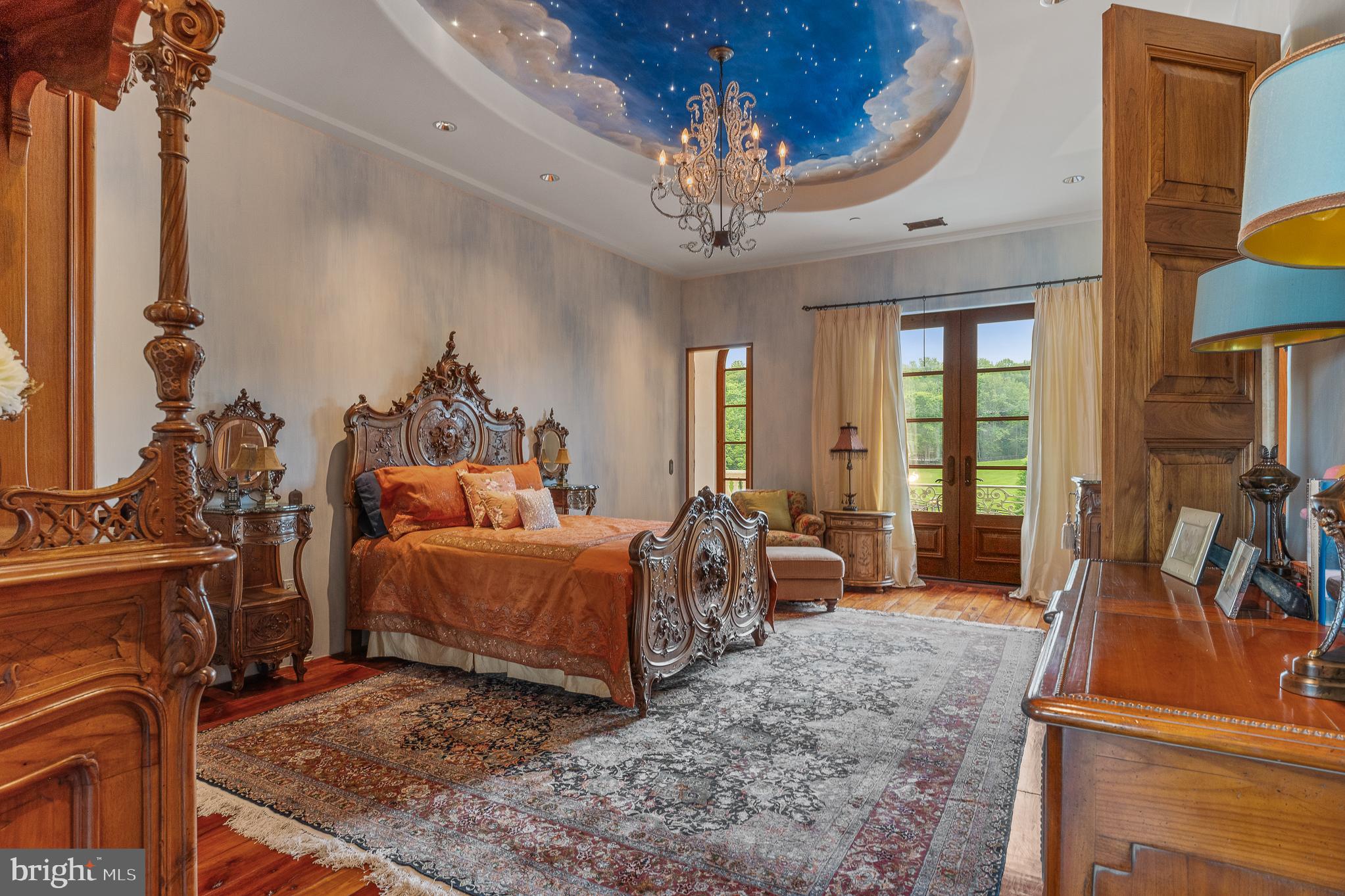 13320 Signal Tree Lane Potomac, MD 20854 - Photo 97 of 143 Starry Sky ensuite bdrm, Tuscany sky ceiling