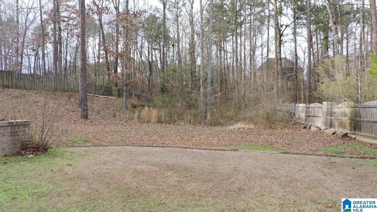 3631 Timber Way Helena, AL 35022 - Photo 6 of 43