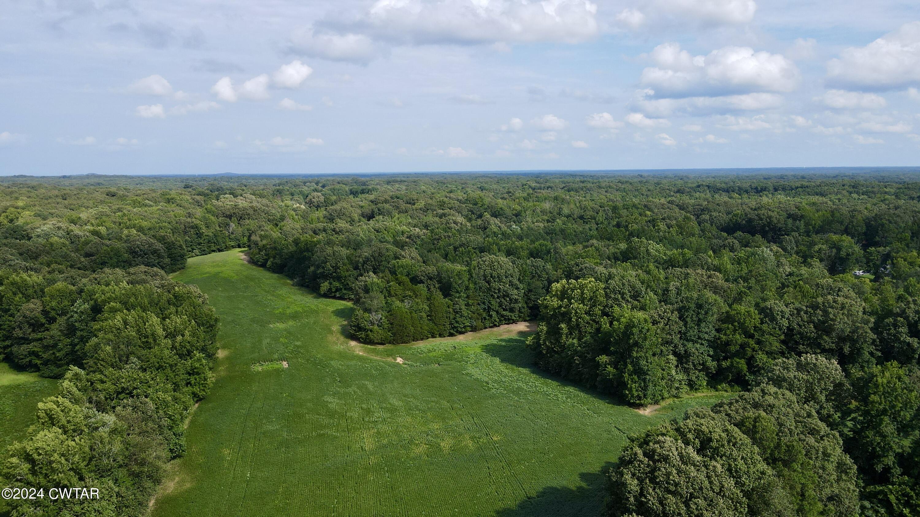 0 Herbert Neal Road Milan, TN 38358 - Photo 3 of 17 dji_fly_20240729_164112_116_172228929045