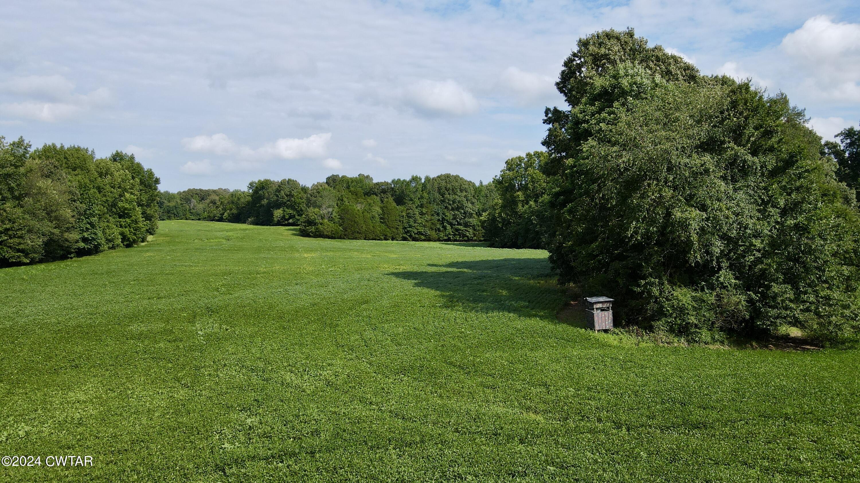 0 Herbert Neal Road Milan, TN 38358 - Photo 8 of 17 dji_fly_20240729_163848_111_172228921051
